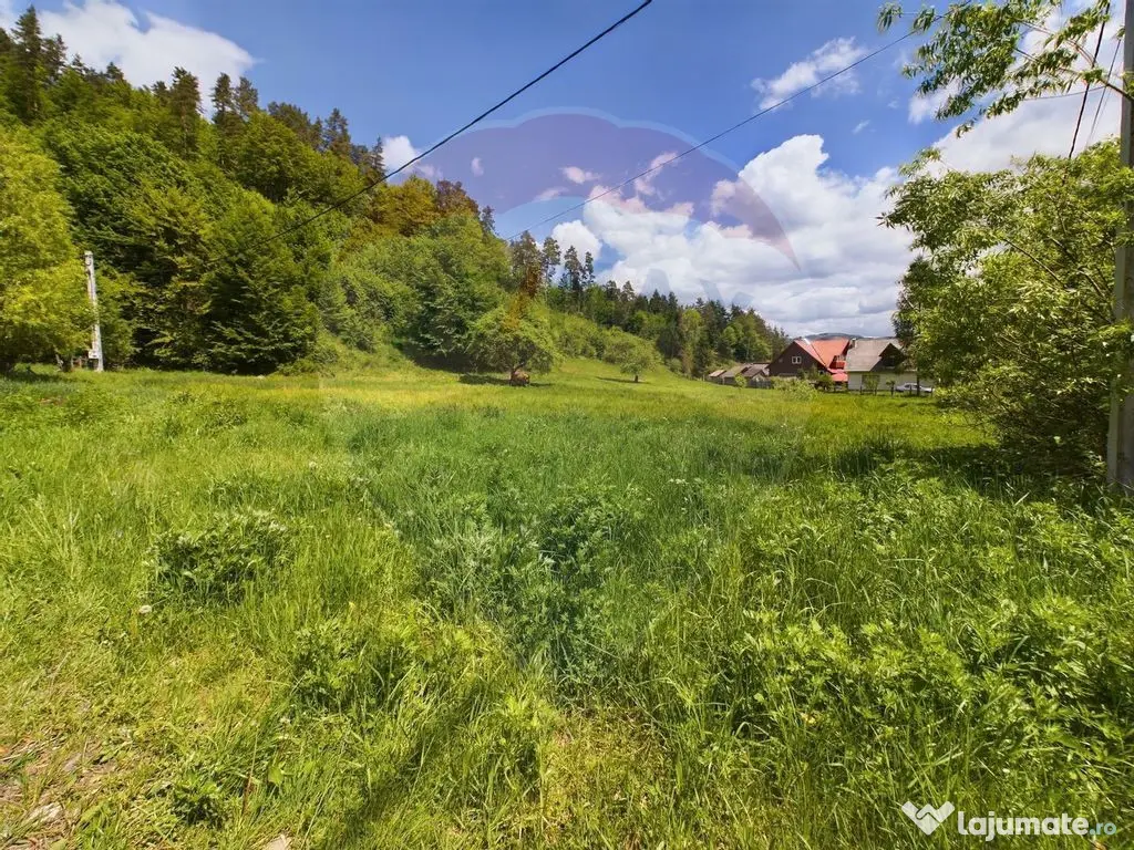 Comision 0%! Proprietate in natura, priveliste superba, S...