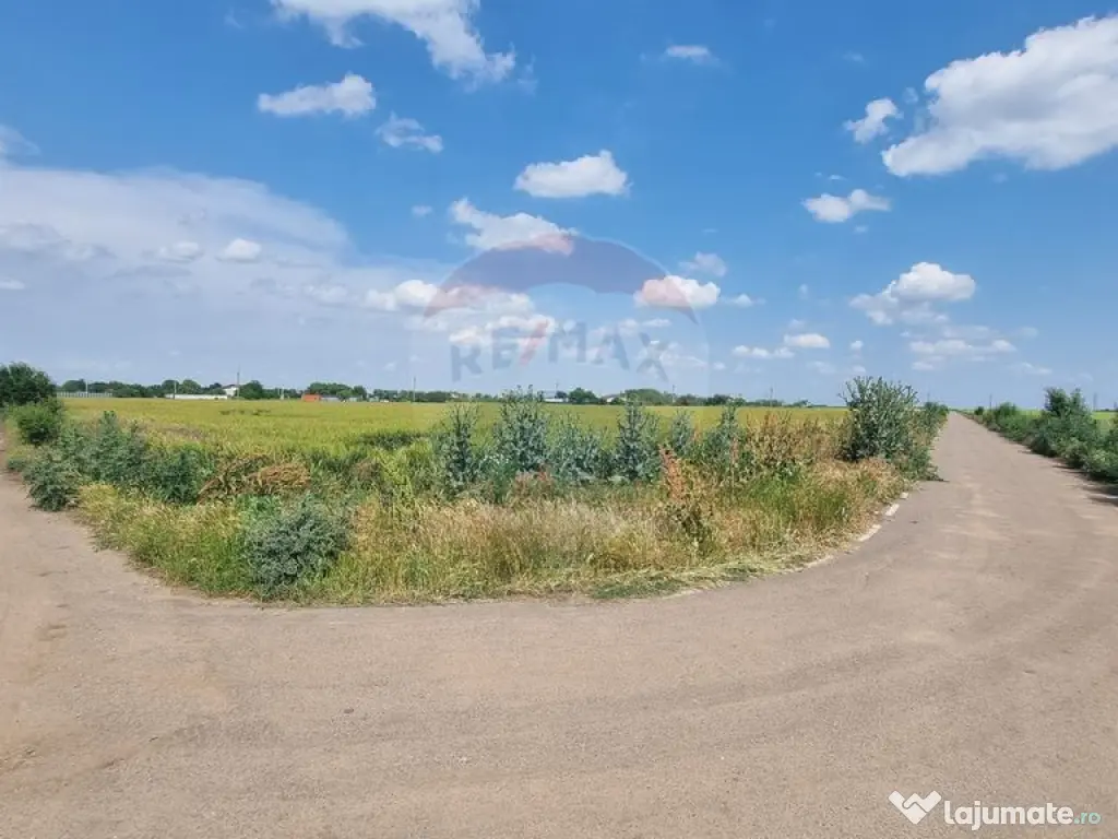 Teren intravilan - 17.500 mp - Gostilele Fundulea 