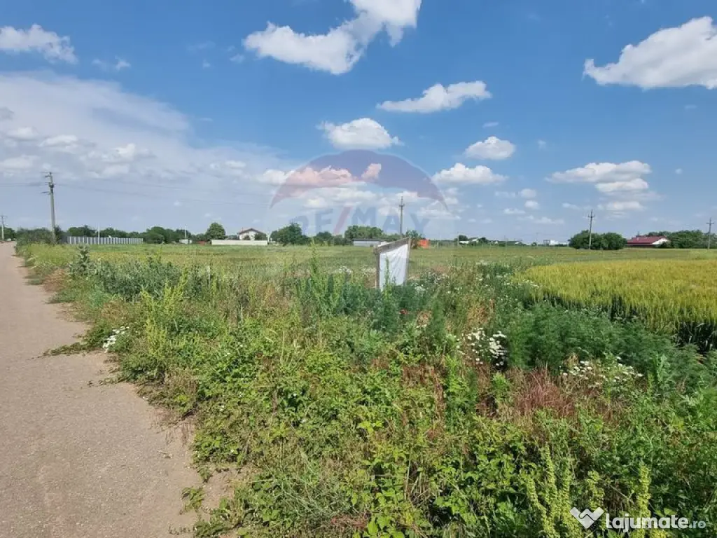 Teren intravilan - 17.500 mp - Gostilele Fundulea 