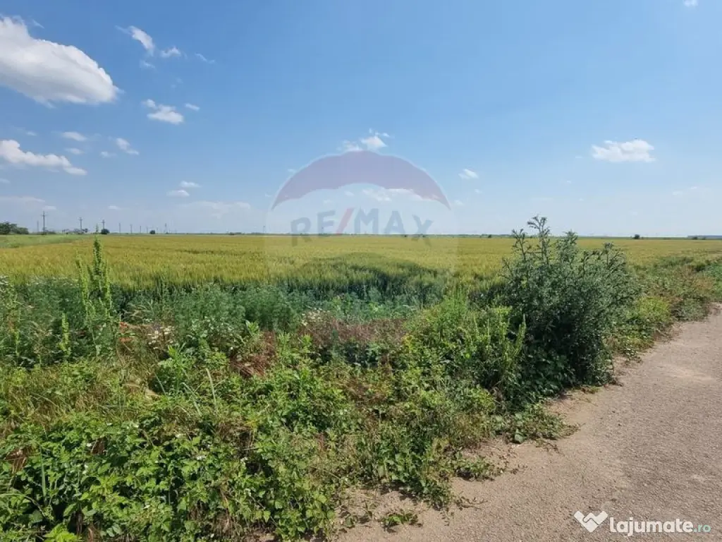 Teren intravilan - 17.500 mp - Gostilele Fundulea 