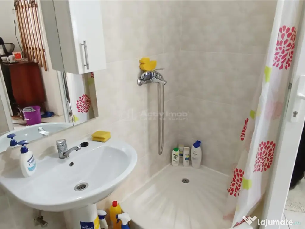 MOLDOVA NOUA, zona centrala, Casa 4 camere, 2 bai si garaj