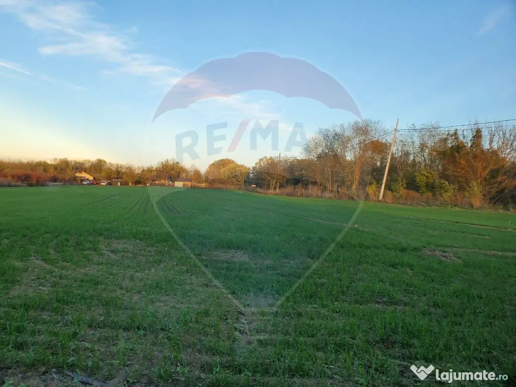 Teren 1,000mp Ciolpani / Strada Catunului 