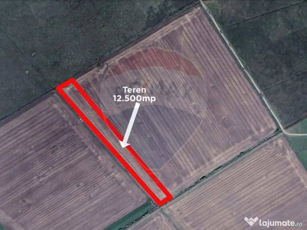 Teren 12.500 mp/Extravilan/ Dumbrava-Prahova 