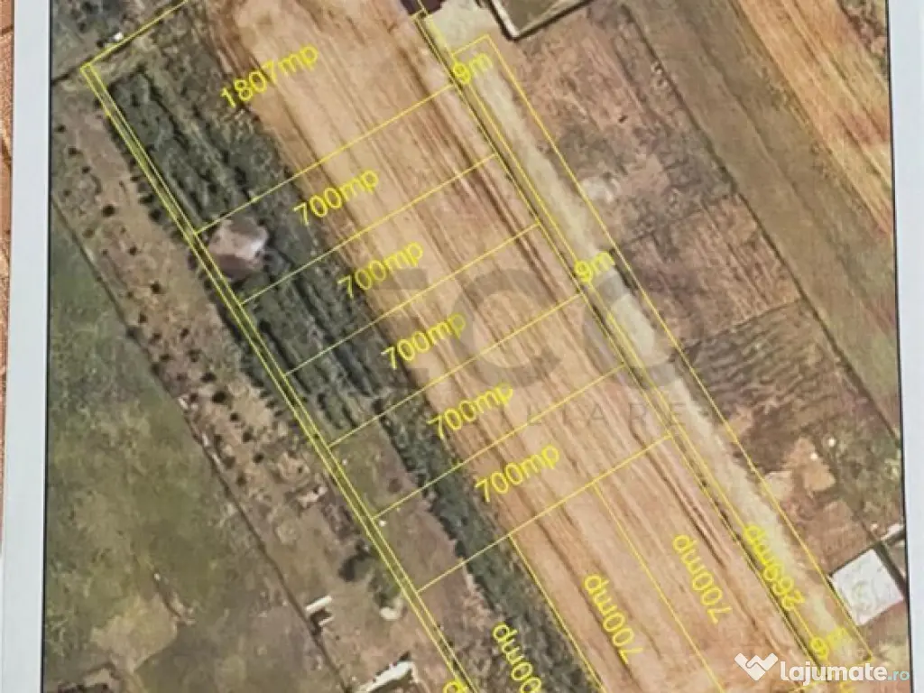 RECO Teren intravilan Biharia 