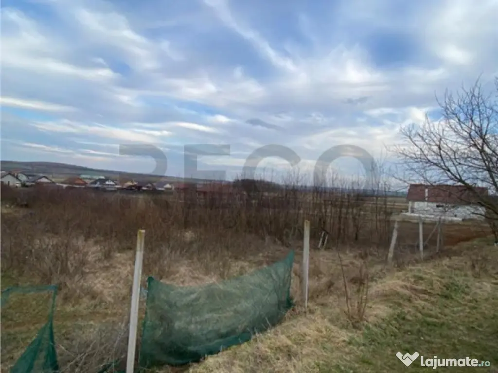 RECO Teren intravilan Biharia 