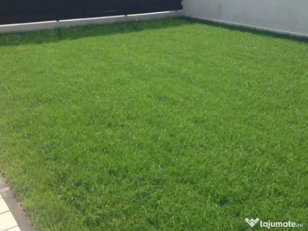 Domnești, Tudor Vladimirescu, vila, P+1E, complet mobilată 