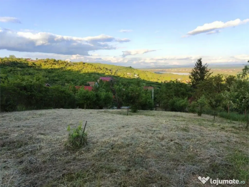 RECO Teren intravilan zona Podgoria