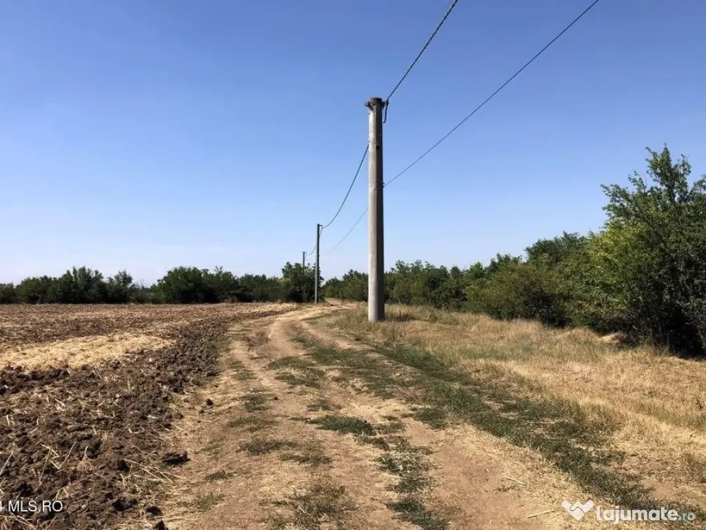 Moara Vlasiei - langa Padurea Biglaru, 11.884 mp, deschid... 