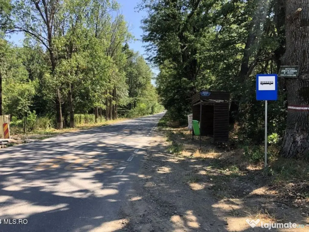 Moara Vlasiei - langa Padurea Biglaru, 11.884 mp, deschid... 