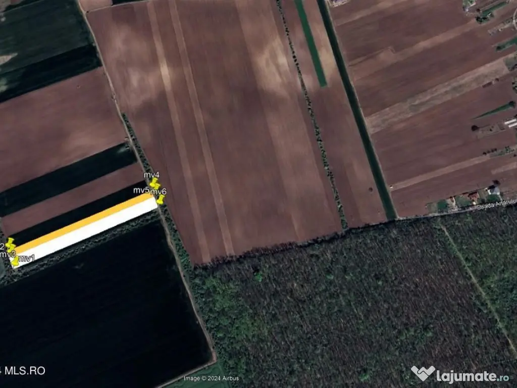 Moara Vlasiei - langa Padurea Biglaru, 11.884 mp, deschid... 