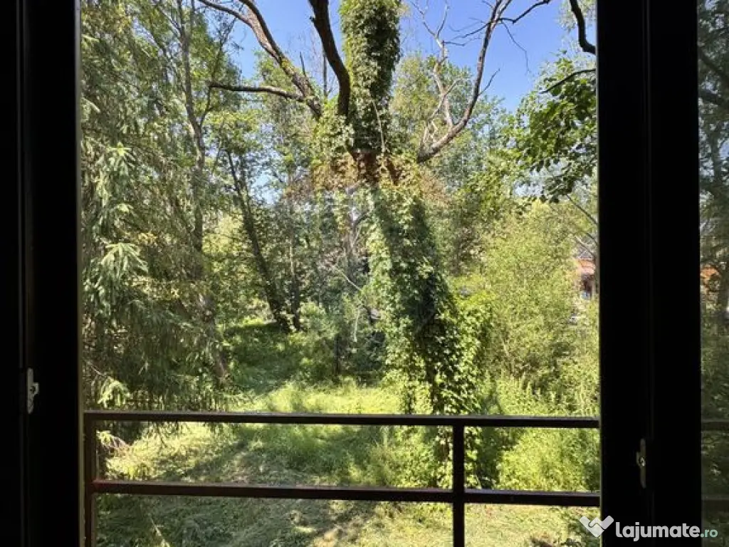 Casa cu teren generos – refugiul perfect în Paltinoasa... 