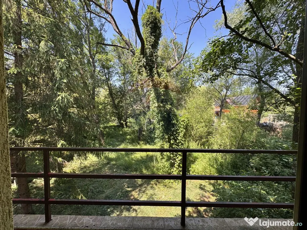 Casa cu teren generos – refugiul perfect în Paltinoasa... 