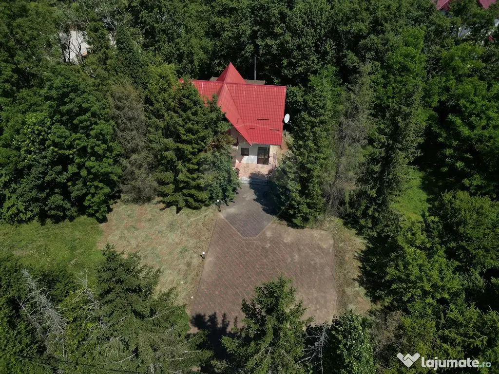 Casa cu teren generos – refugiul perfect în Paltinoasa... 