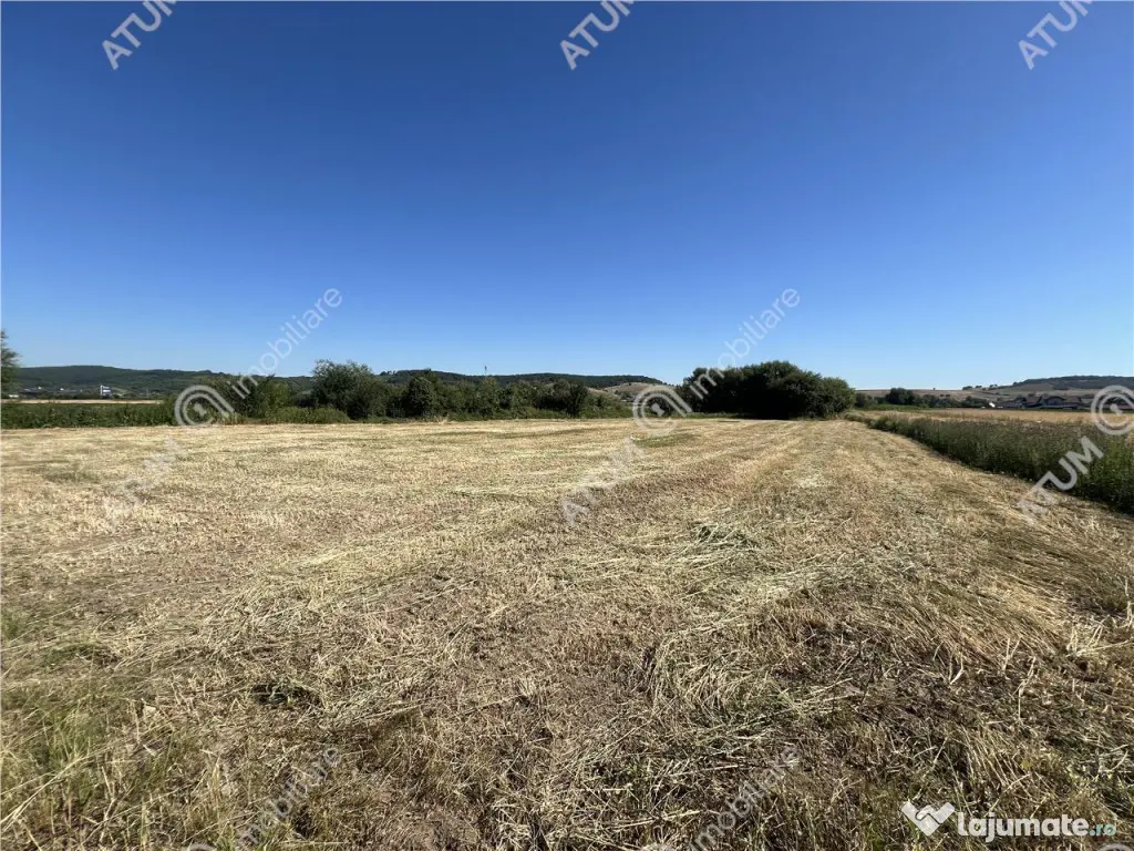 Teren intravilan de 543 mp cu PUZ constructie duplex in Cris 