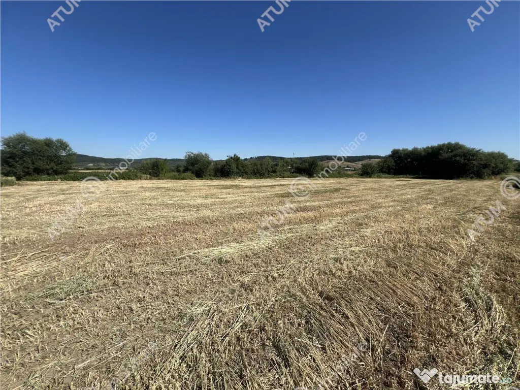 Teren intravilan de 543 mp cu PUZ constructie duplex in Cris 