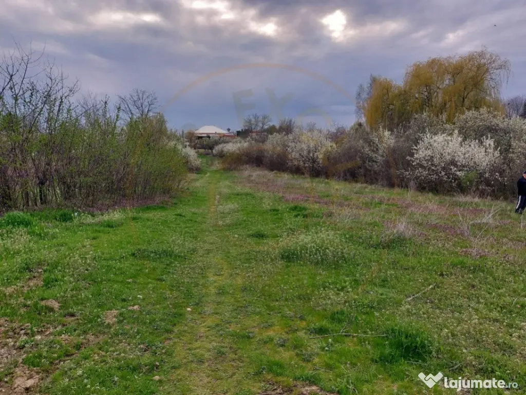 Teren Topoloveni - 3670 mp - langa padure, aproape de Centru