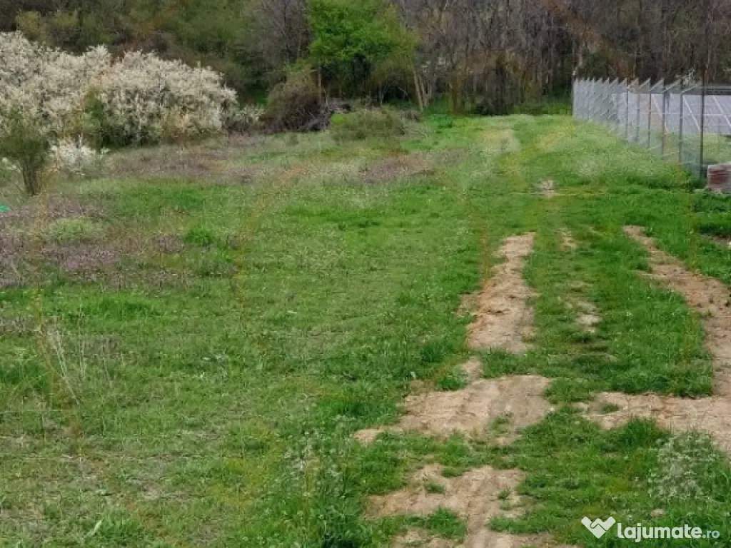 Teren Topoloveni - 3670 mp - langa padure, aproape de Centru