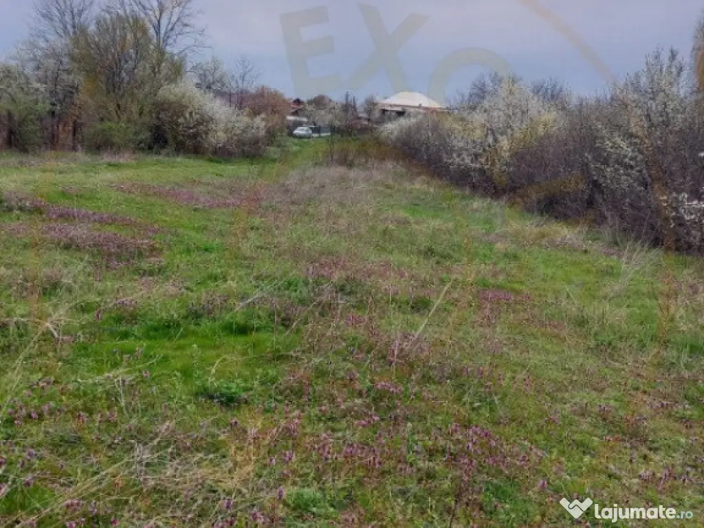 Teren Topoloveni - 3670 mp - langa padure, aproape de Centru