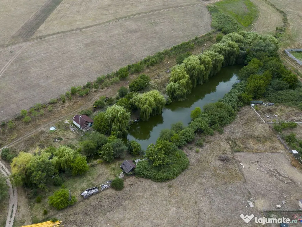 Teren de 7900 mp cu baltă de pescuit în Frumușeni 