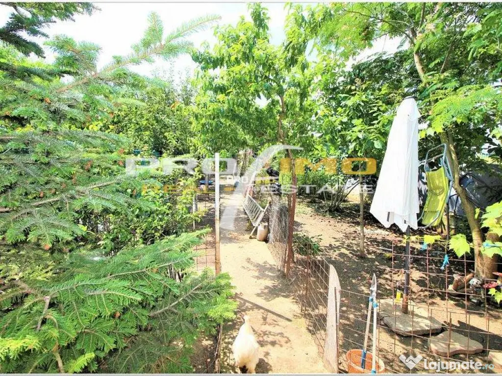 Vila P 1E, teren 500pm. Pescaria Lui Matei - 