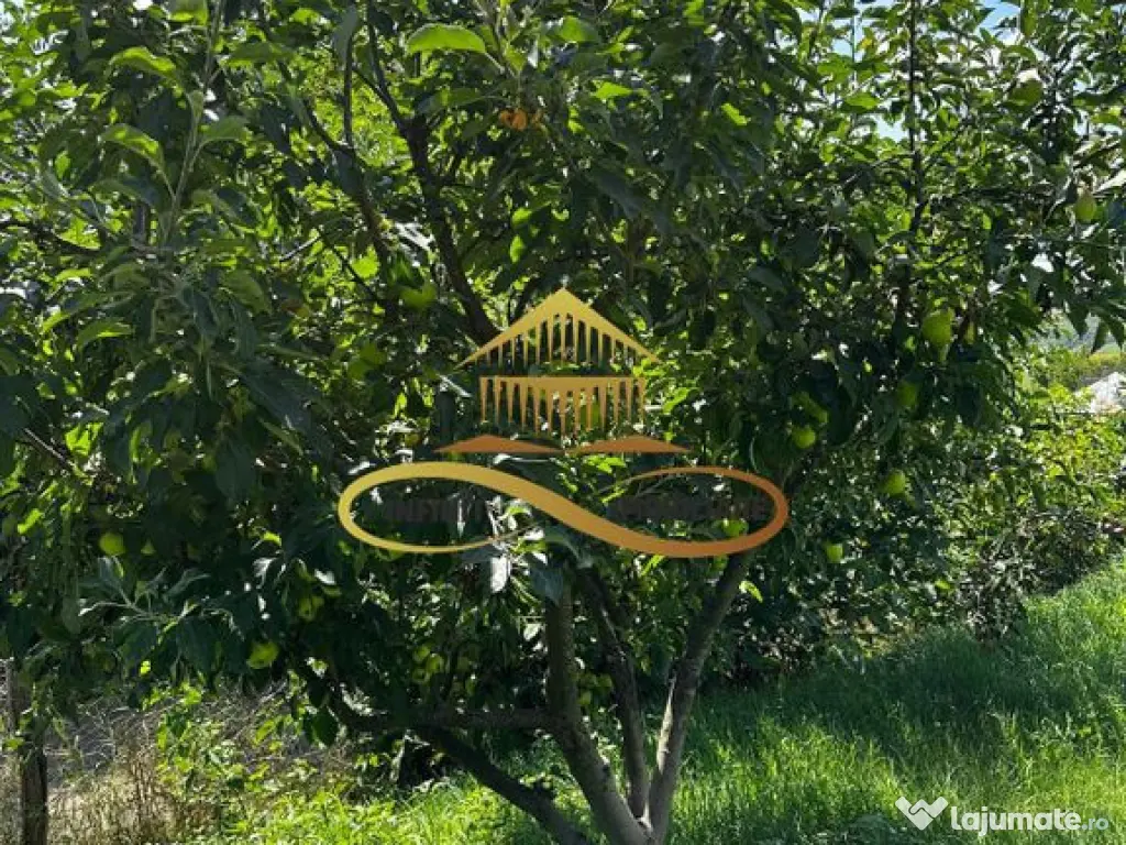 Casa de vanzare in Secuieni / Bacau 