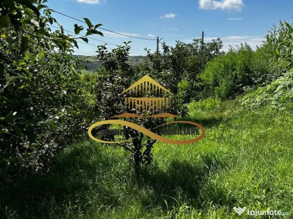 Casa de vanzare in Secuieni / Bacau 