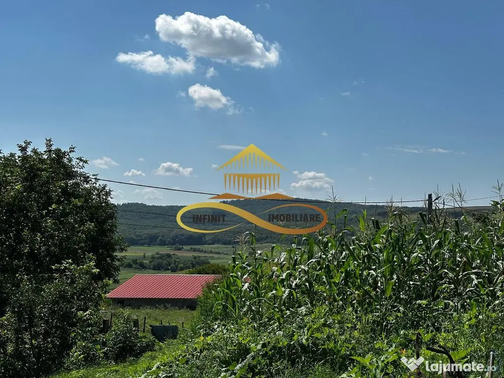 Casa de vanzare in Secuieni / Bacau 