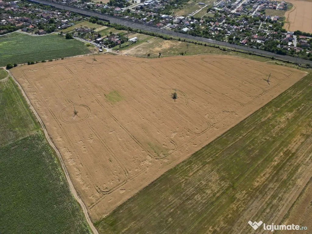 Tern intrevilan 4003 mp