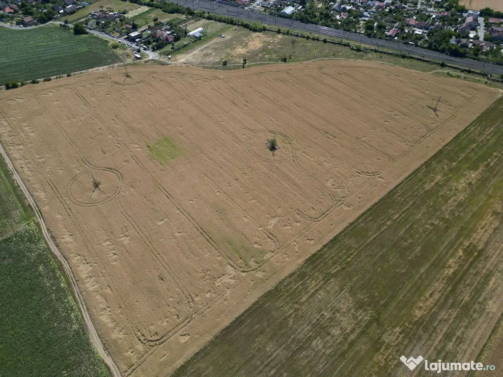 Tern intrevilan 4003 mp