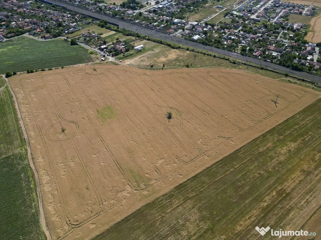 Tern intrevilan 4003 mp