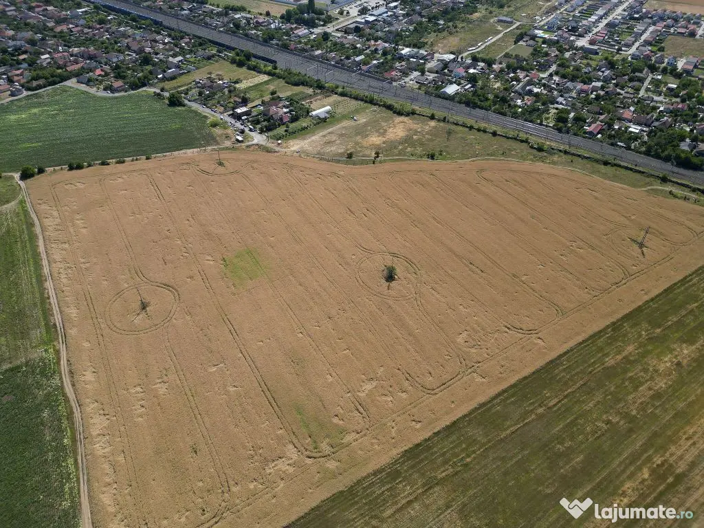 Tern intrevilan 4003 mp