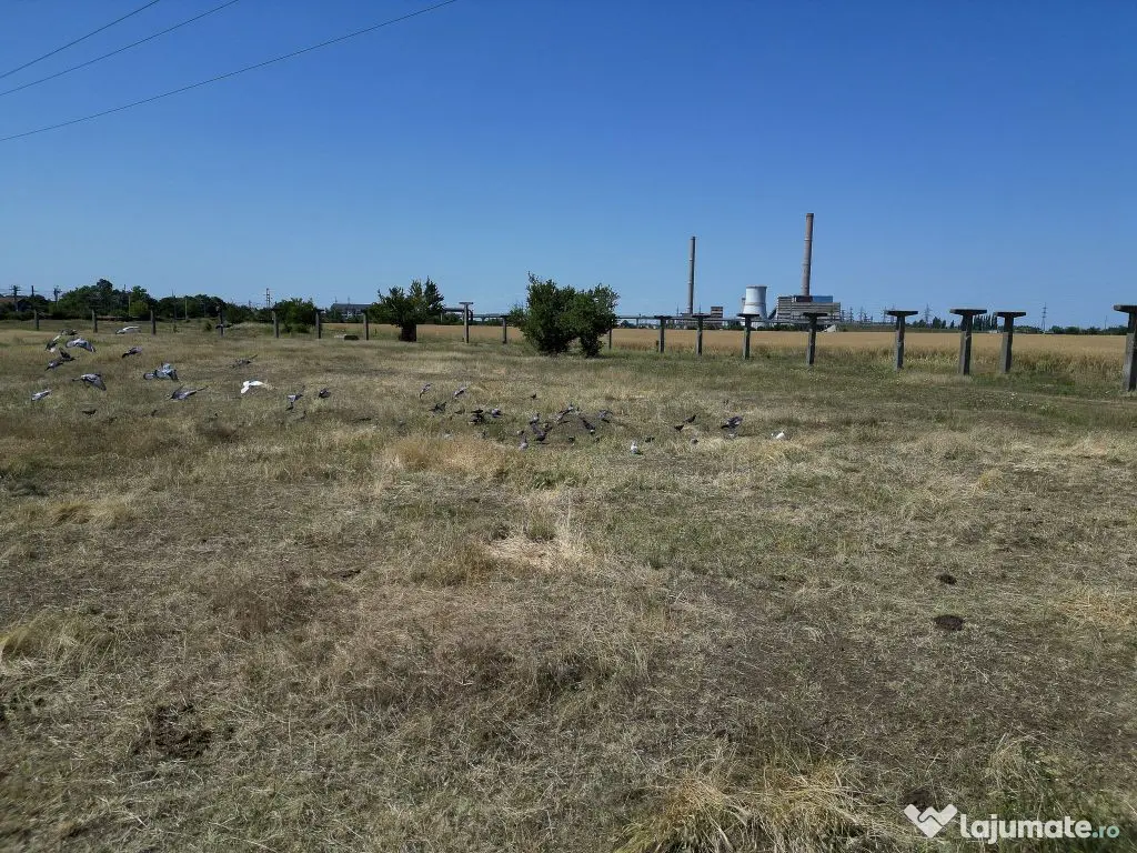 Tern intrevilan 4003 mp