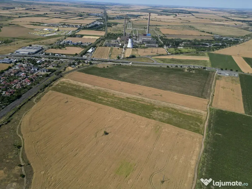 Tern intrevilan 4003 mp