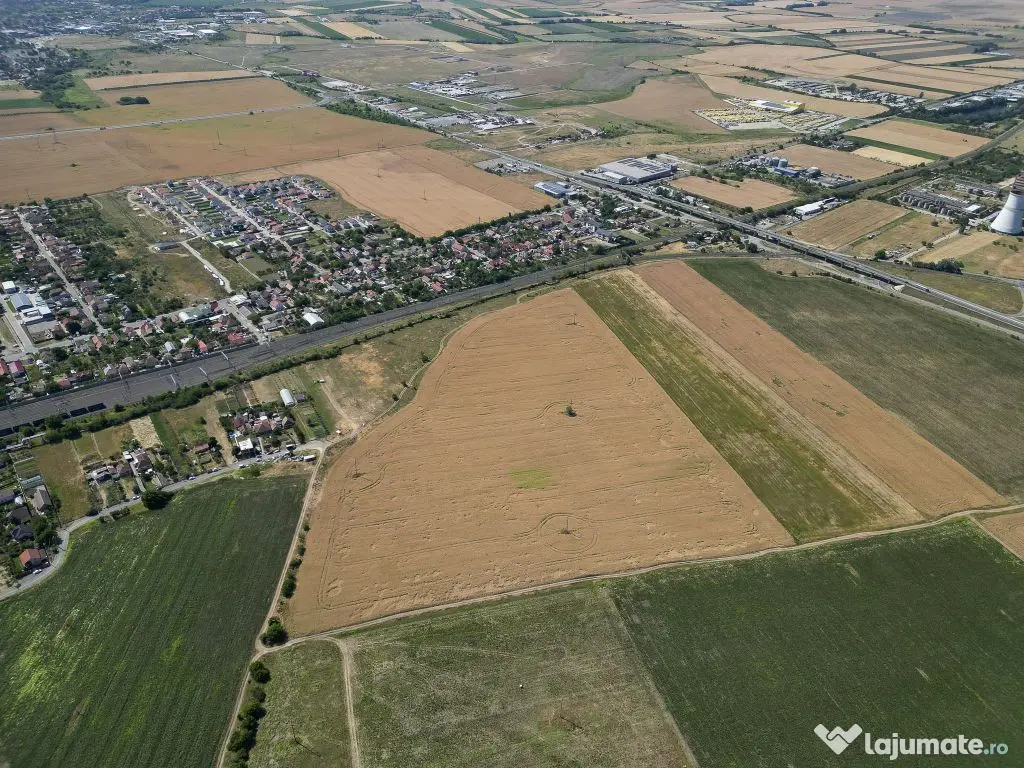 Tern intrevilan 4003 mp