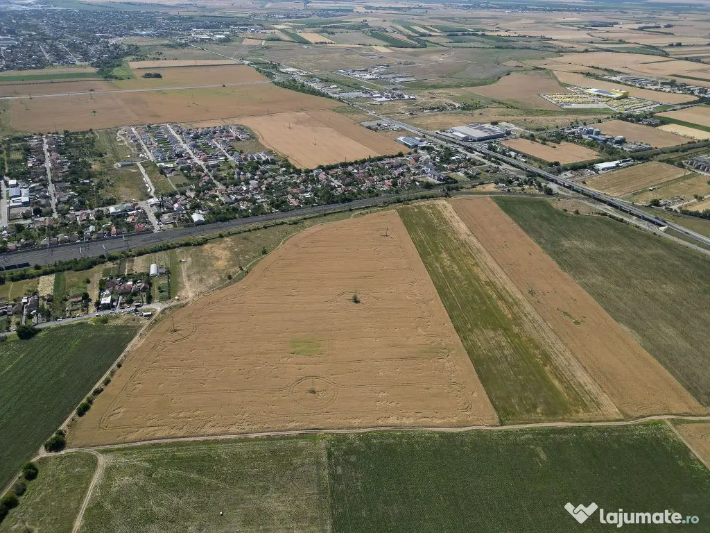 Tern intrevilan 4003 mp