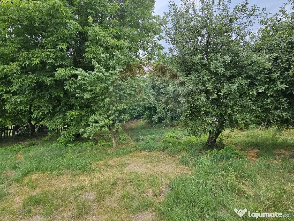 Teren intravilan 2,036mp Pădureni-Șendriceni, Botoșani 