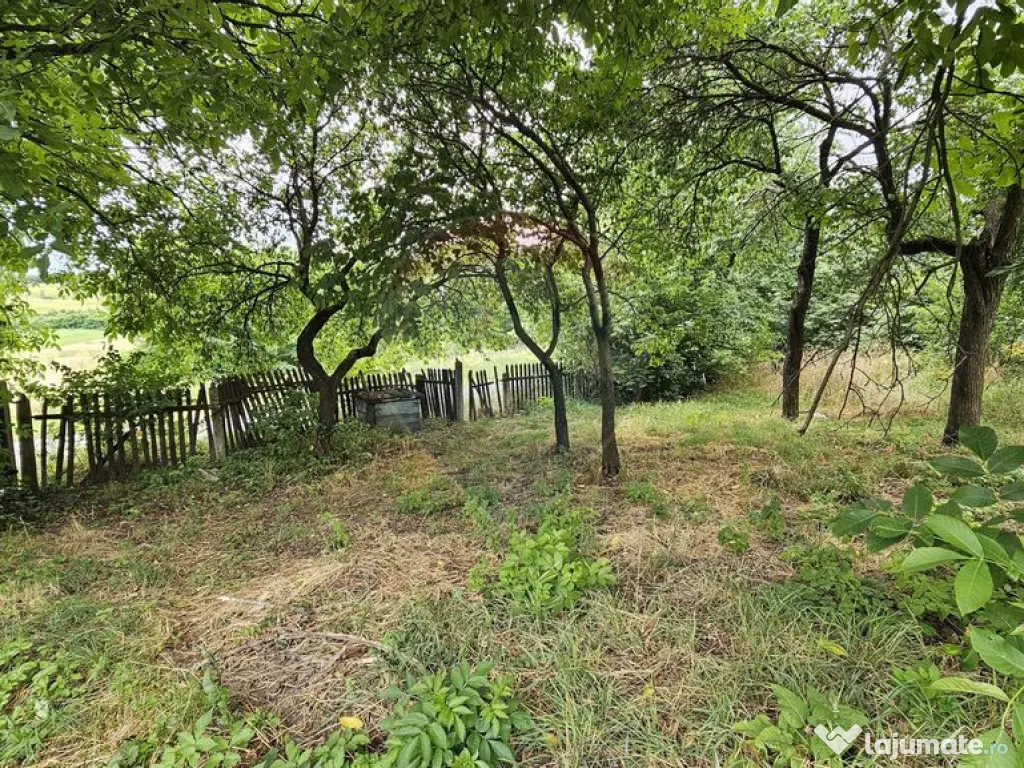 Teren intravilan 2,036mp Pădureni-Șendriceni, Botoșani 