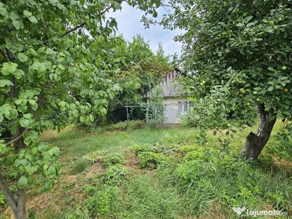 Teren intravilan 2,036mp Pădureni-Șendriceni, Botoșani 