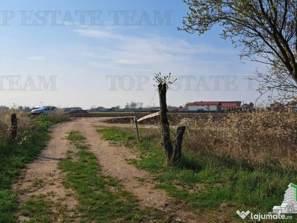 Teren 1171mp la intrare in Palanca langa Raul Sabar