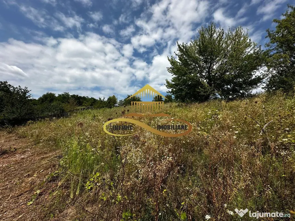 Teren extravilan 1870 mp-de vanzare 14€/mp Sohodol / Bacau 