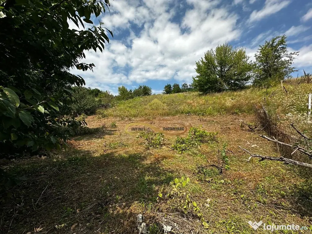 Teren extravilan 1870 mp-de vanzare 14€/mp Sohodol / Bacau 
