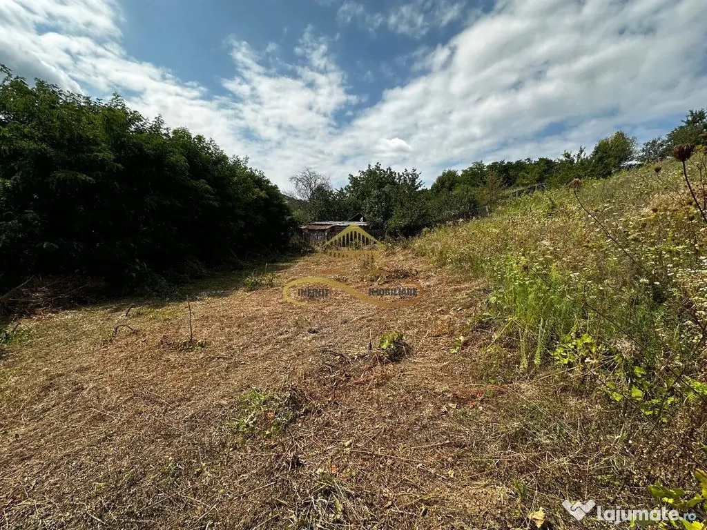 Teren extravilan 1870 mp-de vanzare 14€/mp Sohodol / Bacau 