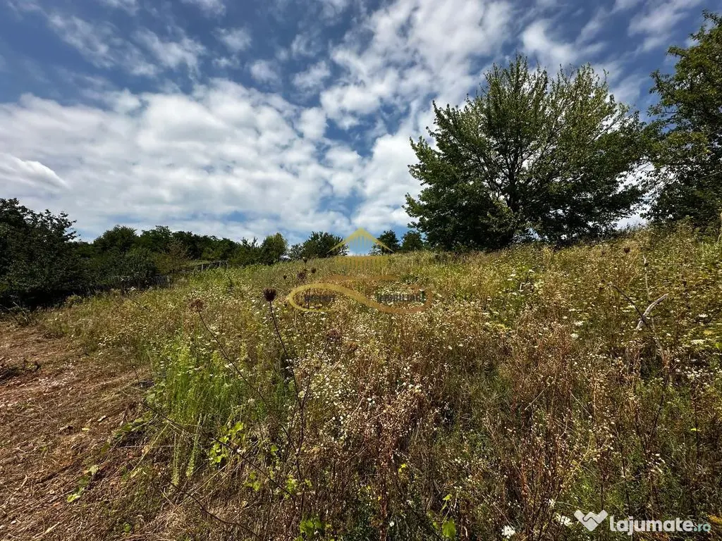 Teren extravilan 1870 mp-de vanzare 14€/mp Sohodol / Bacau 