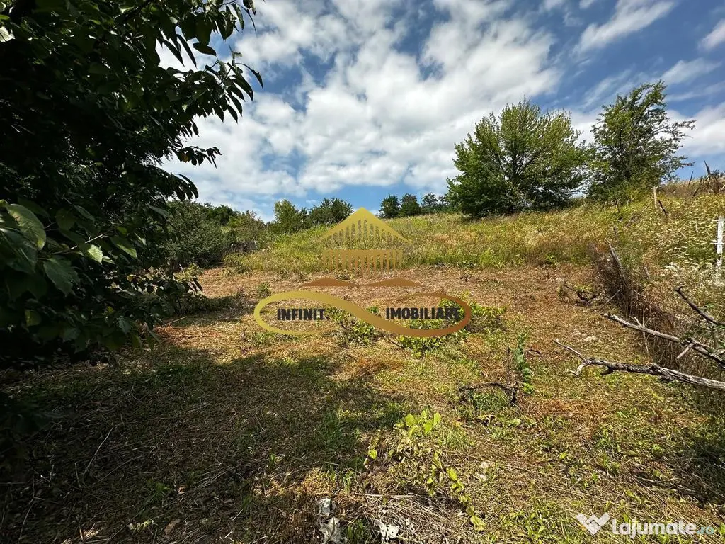 Teren extravilan 1870 mp-de vanzare 14€/mp Sohodol / Bacau 