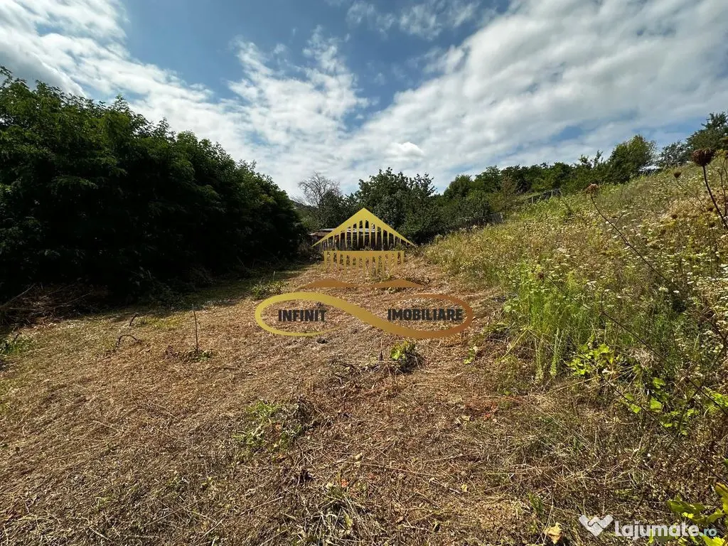 Teren extravilan 1870 mp-de vanzare 14€/mp Sohodol / Bacau 