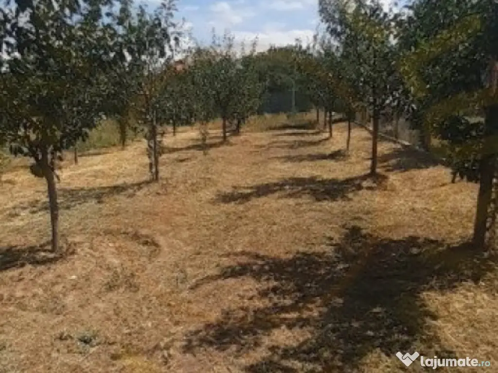 0% Comision - 2095 mp TEREN INTRAVILAN - SERBOENI ARGES