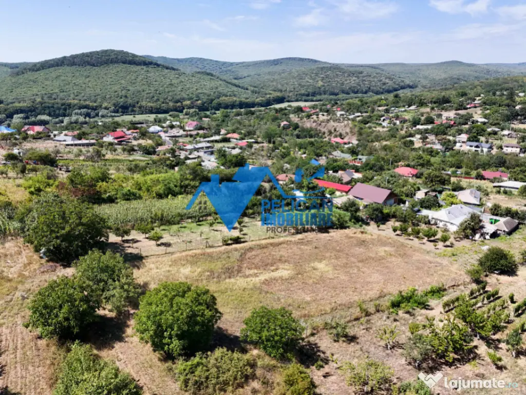 Casa cu teren in Telita - 3549MP - zona foarte frumoasa 