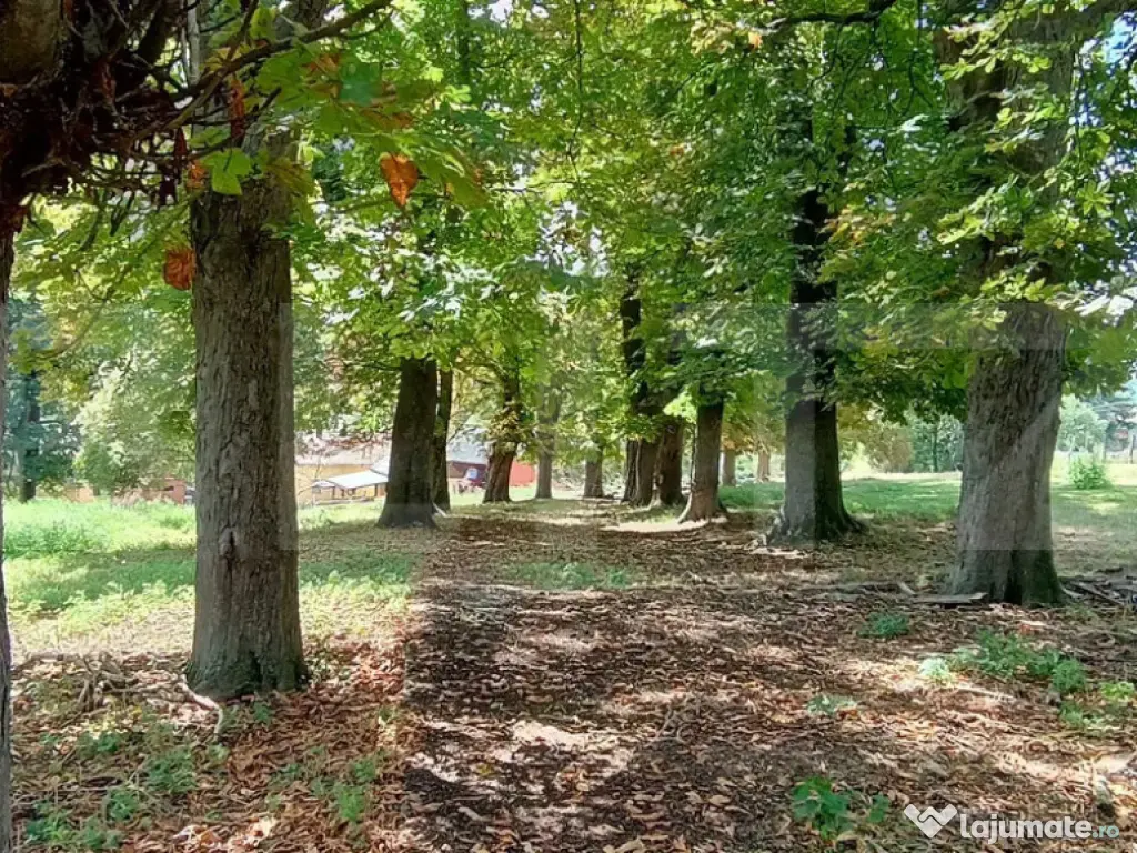 Cabana cu teren intravilan 18.449 mp – Paingeni | 7,5 €/