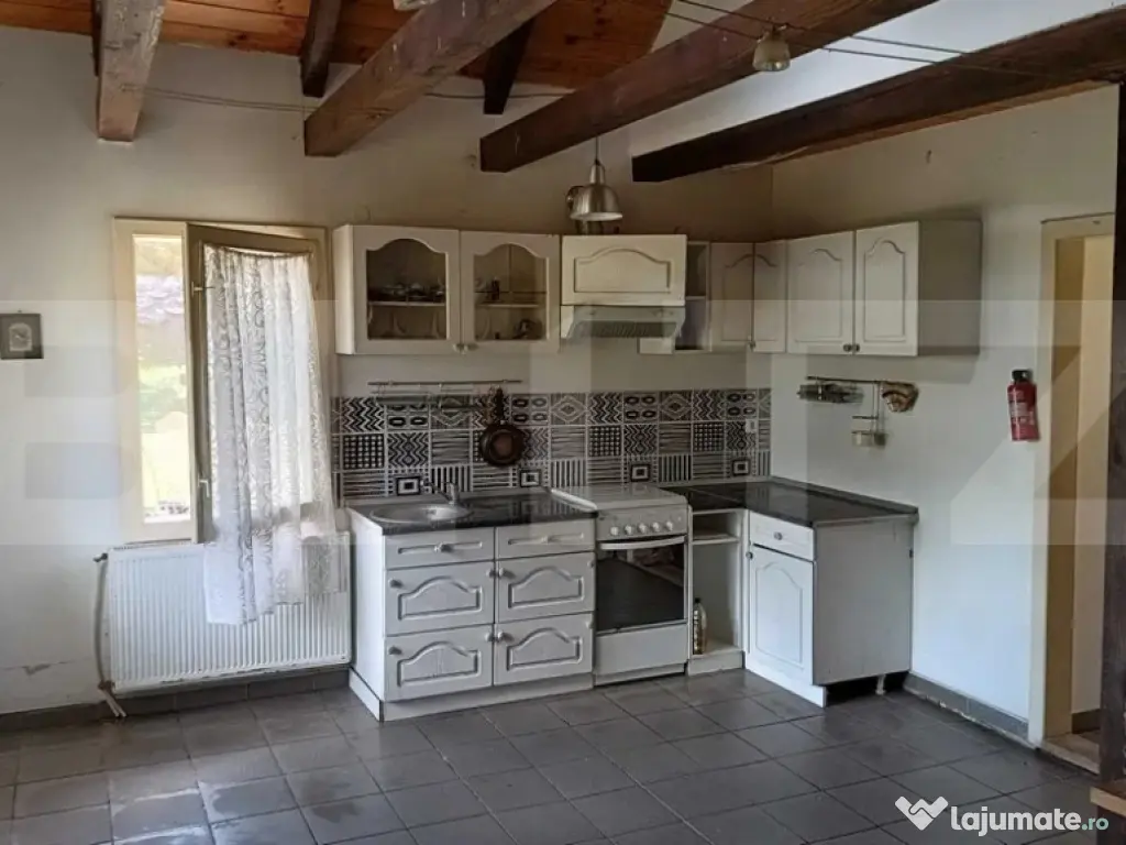 Cabana cu teren intravilan 18.449 mp – Paingeni | 7,5 €/