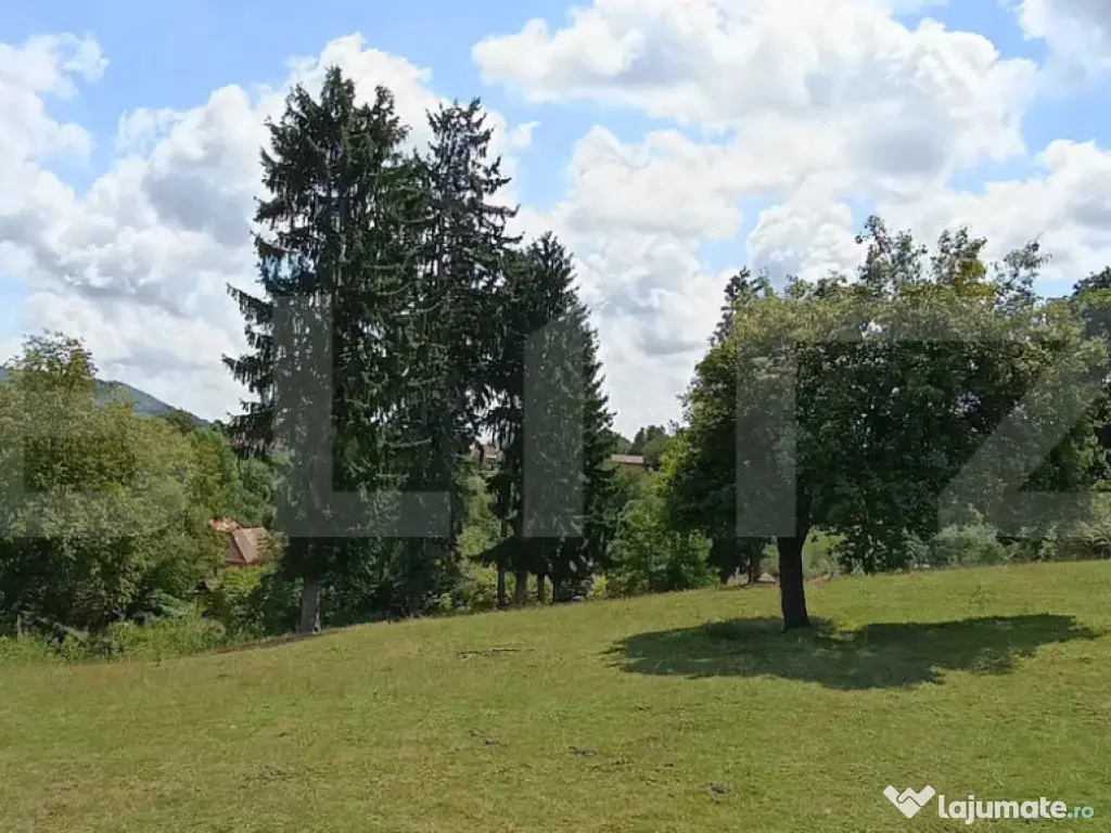 Cabana cu teren intravilan 18.449 mp – Paingeni | 7,5 €/